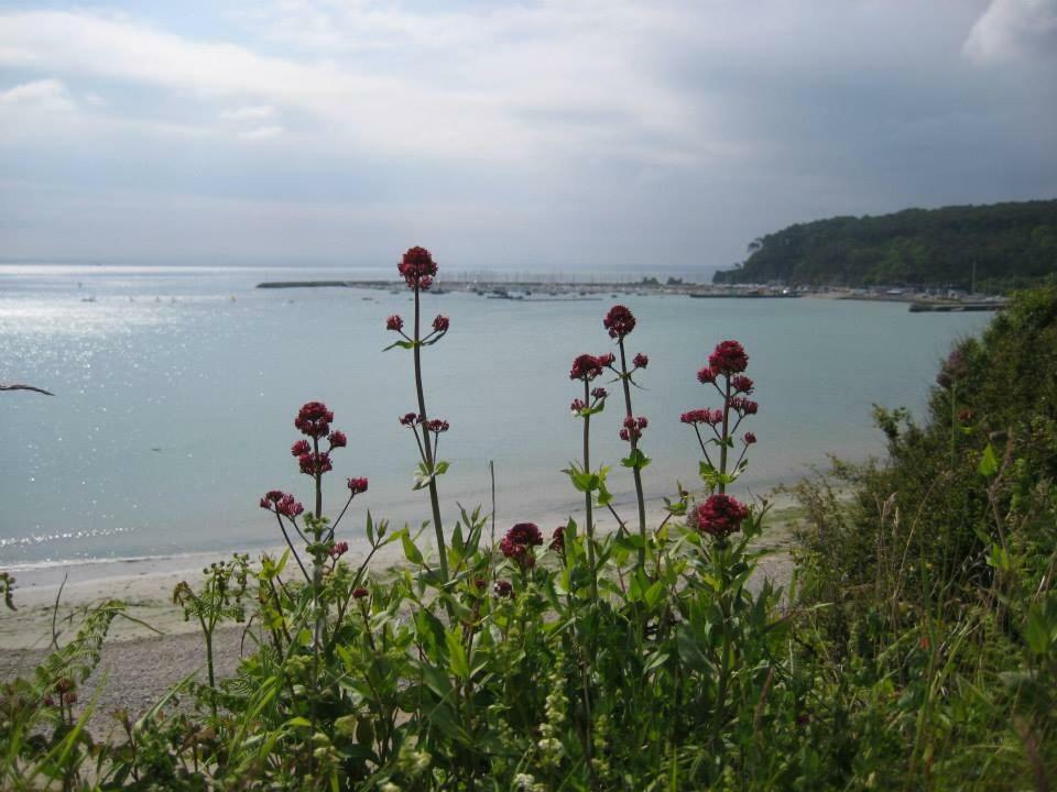 Appartamento Cap Morgat Chez Jean Crozon Esterno foto